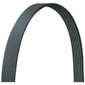 Dayco V-Ribbed Belt, 4Pvk1215 4PVK1215